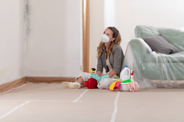 Reliable Mold Inspection And Testing contractor in Harrisburg, IL by 24 Hour Mold Removal